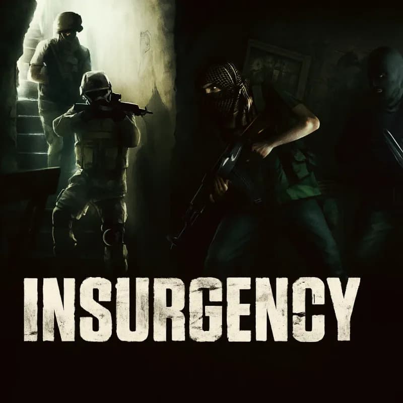 Insurgency